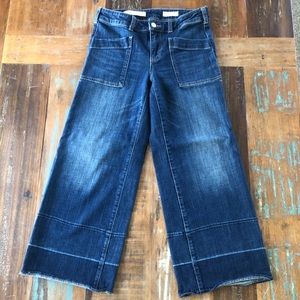 Pilcro and the Letterpress Wide Leg Capri Size 27